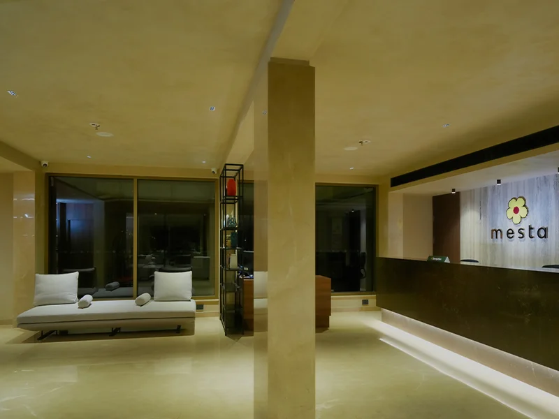 Best Places To Stay In Wayanad