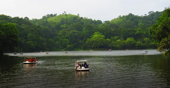 Boating in Pookode Lake - Couple friendly hotels in Wayanad for romantic getaways