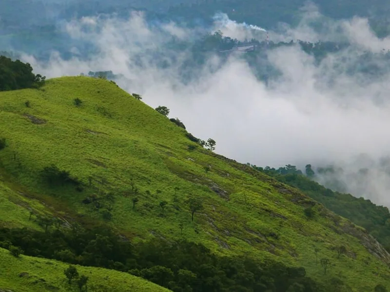 Best luxury hotels in Wayanad surroundings
