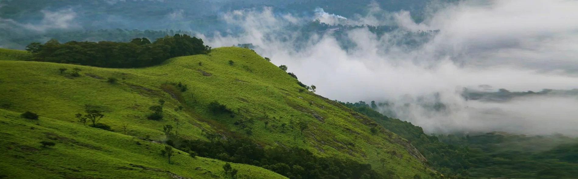 Best luxury hotels in Sulthan Bathery Wayanad surroundings